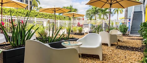 Terras