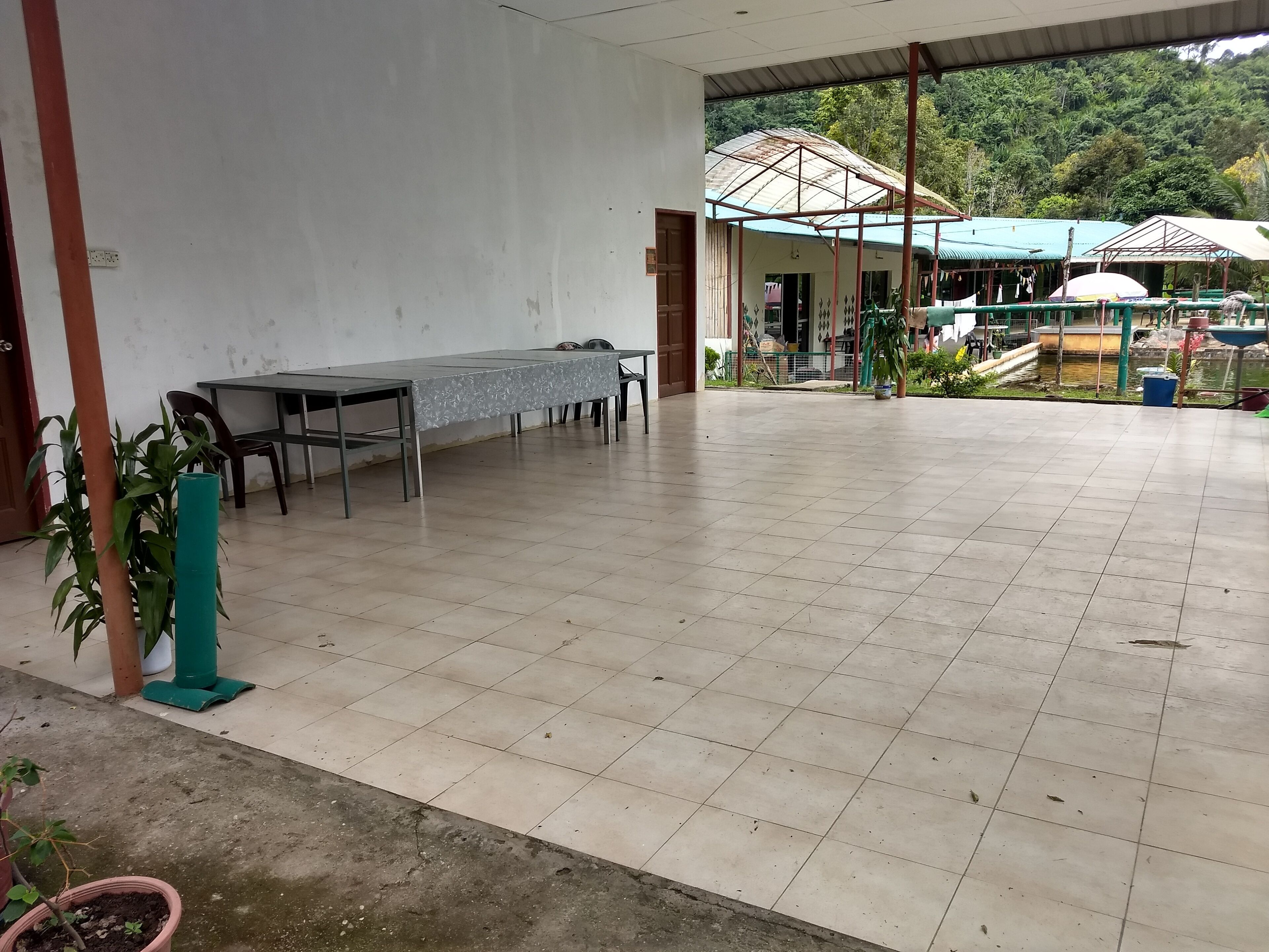 A spacious indoor area with a long table and chairs, surrounded by potted plants and a view of a lush, green landscape.