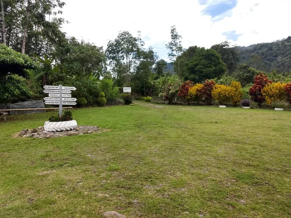 A grassy area with a directional signpost surrounded by trees and colorful foliage.