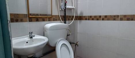Une salle de bain avec un lavabo, des toilettes et une douche.