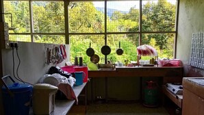 Una cocina con vista a árboles por la ventana, un lavabo y diversos utensilios de cocina.