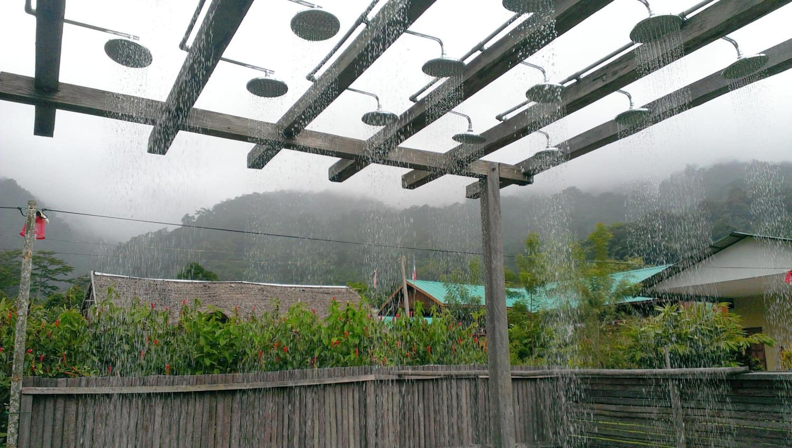 A covered outdoor area with a wooden structure and a metal roof, surrounded by greenery and a building with a green roof.