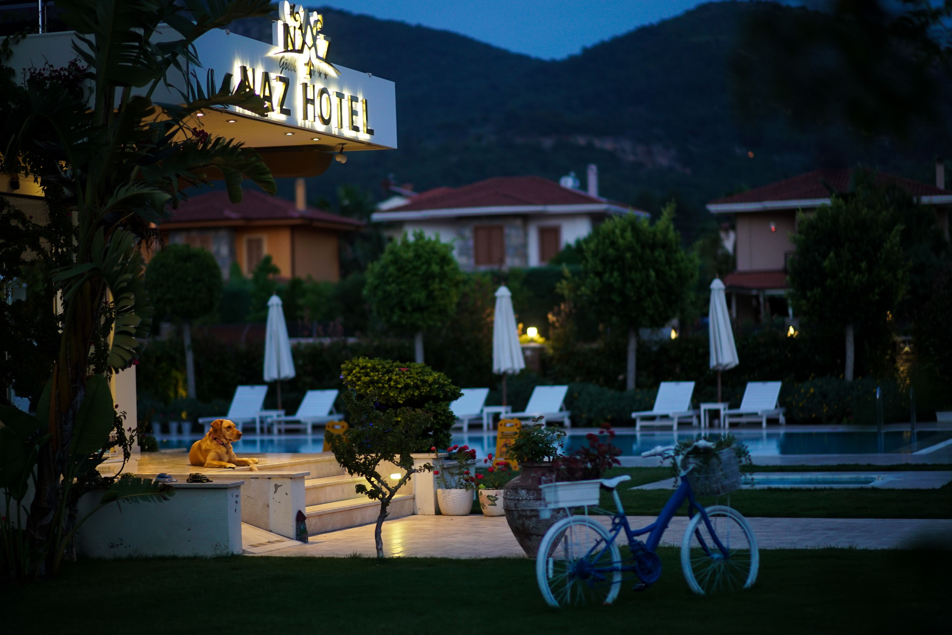 front of property – evening/night