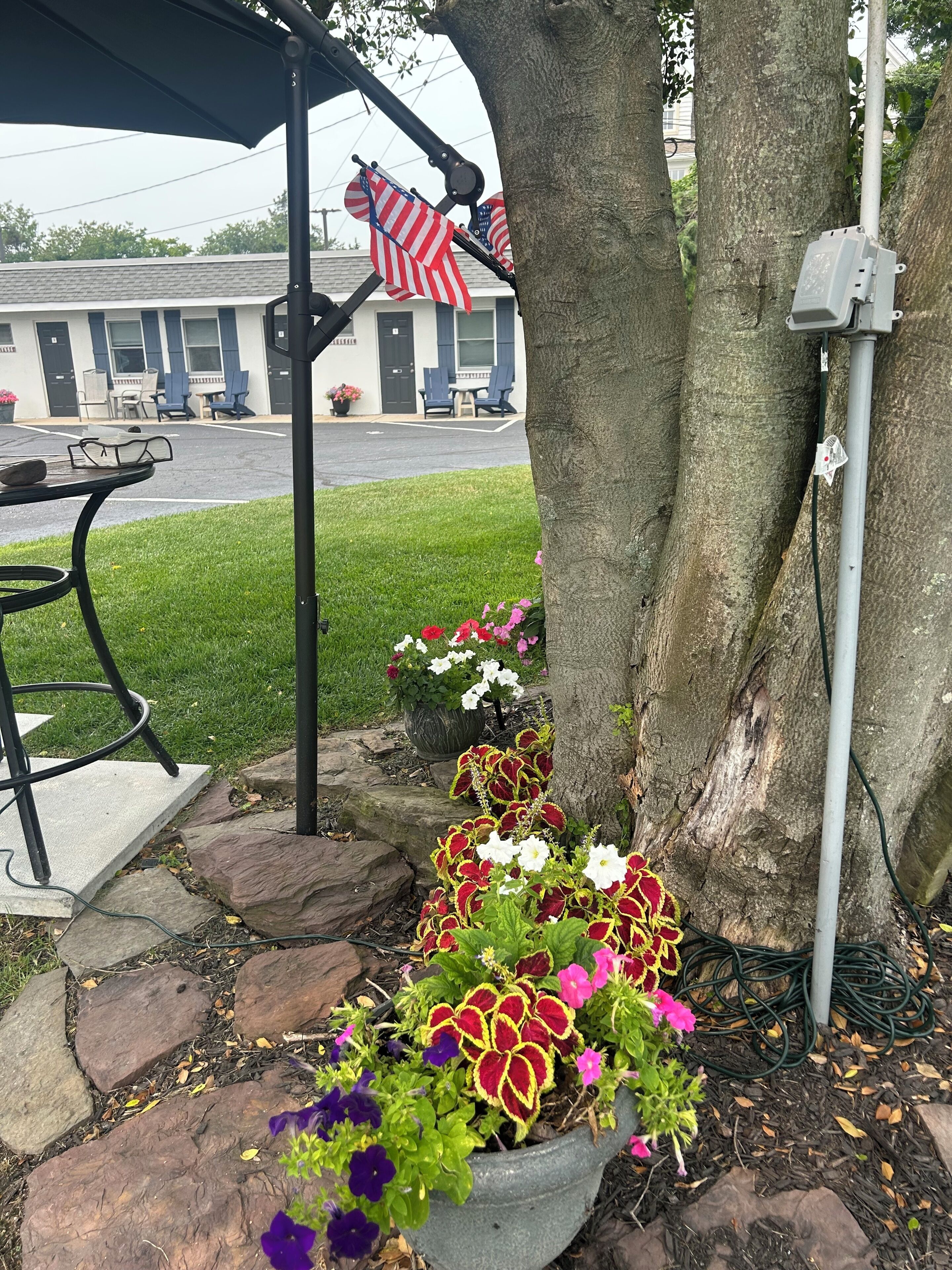 A patio area with a table and chairs, a potted plant with flowers, and a building in the background.