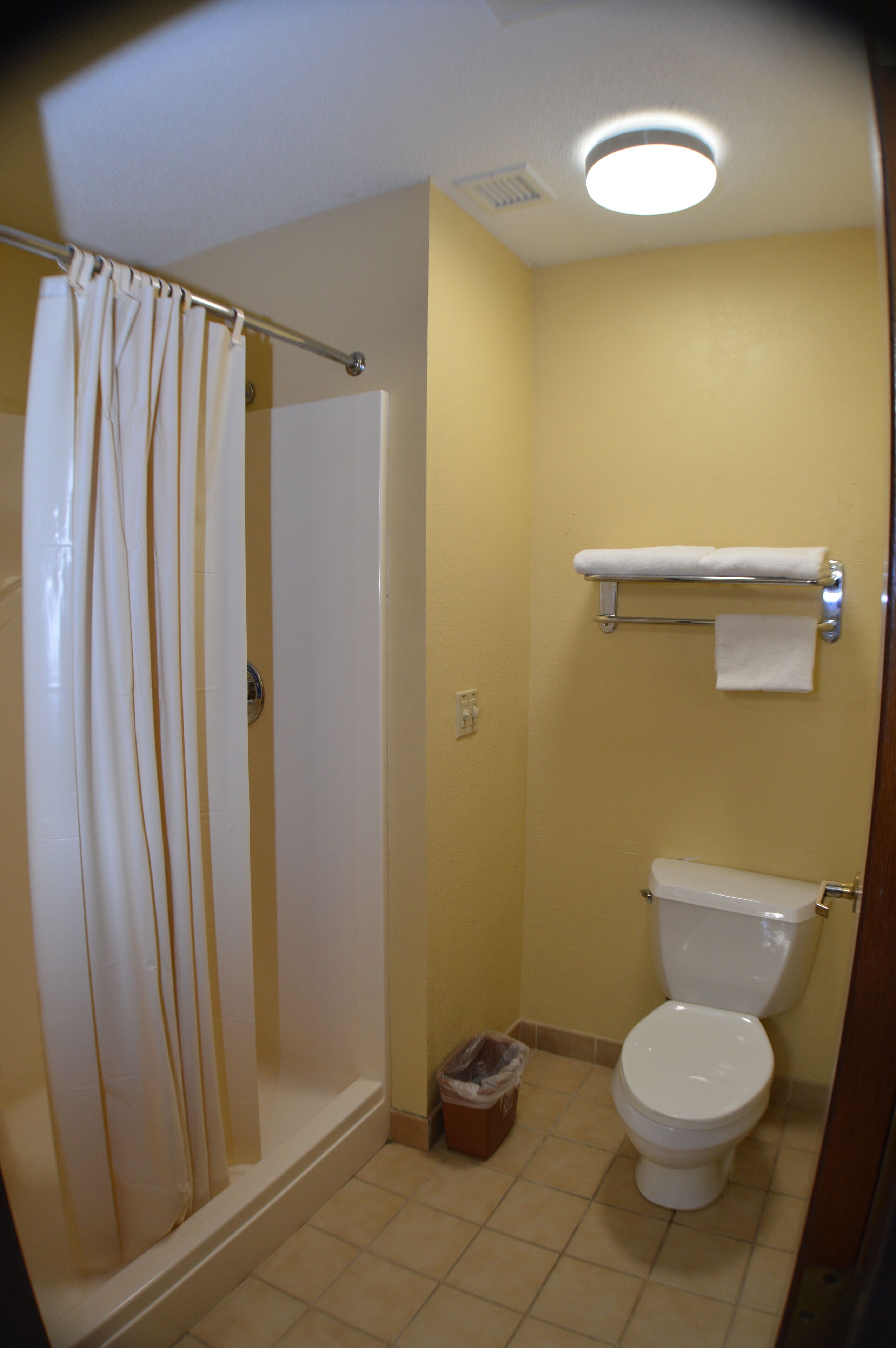 A bathroom with a shower, toilet, and towel rack.