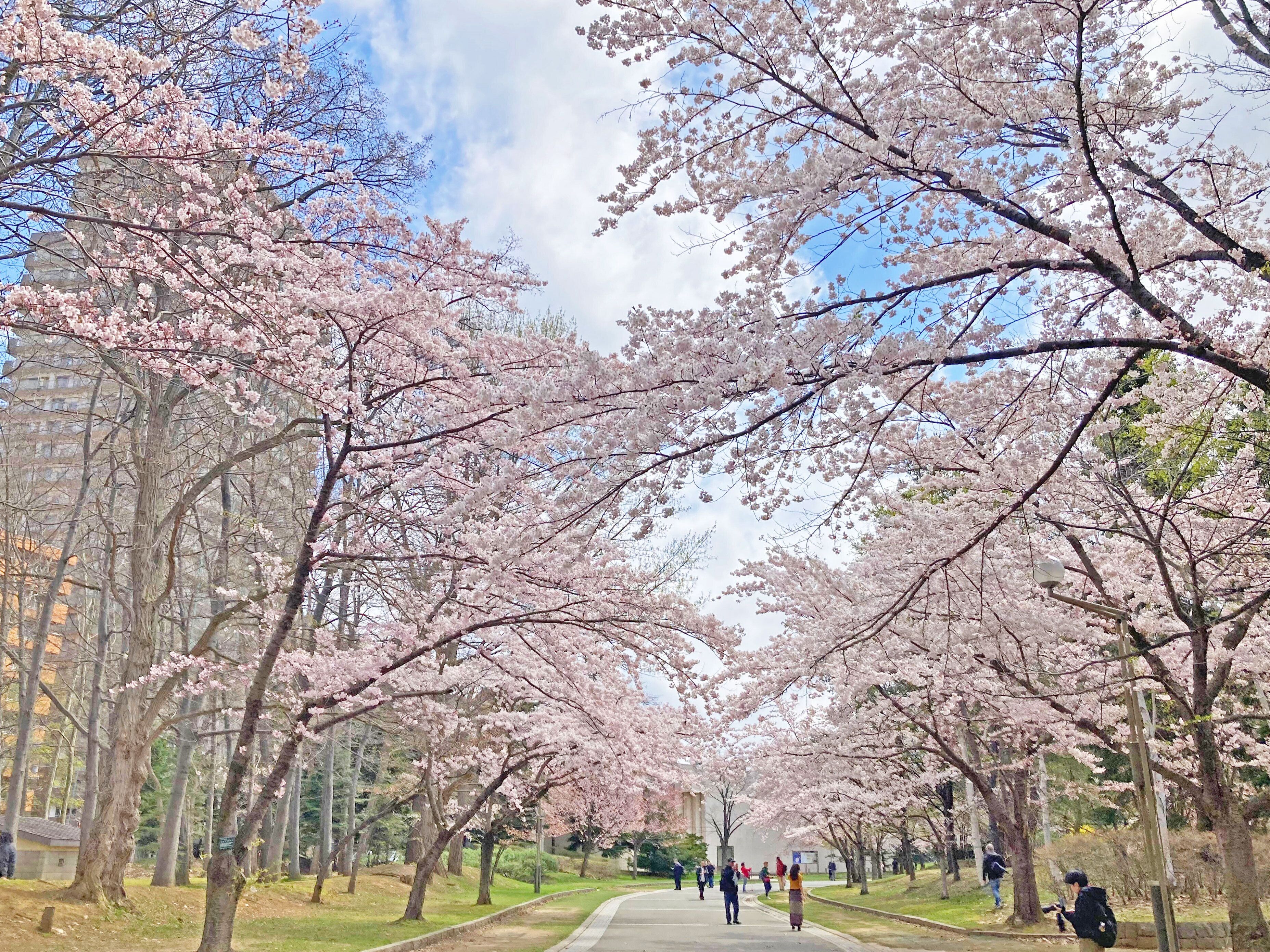 Photo - Hotel Lifort Sapporo