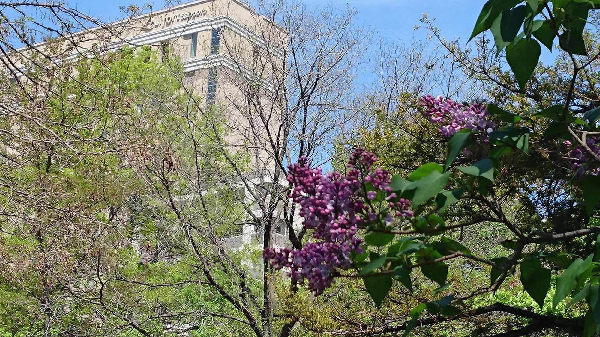 city view from property