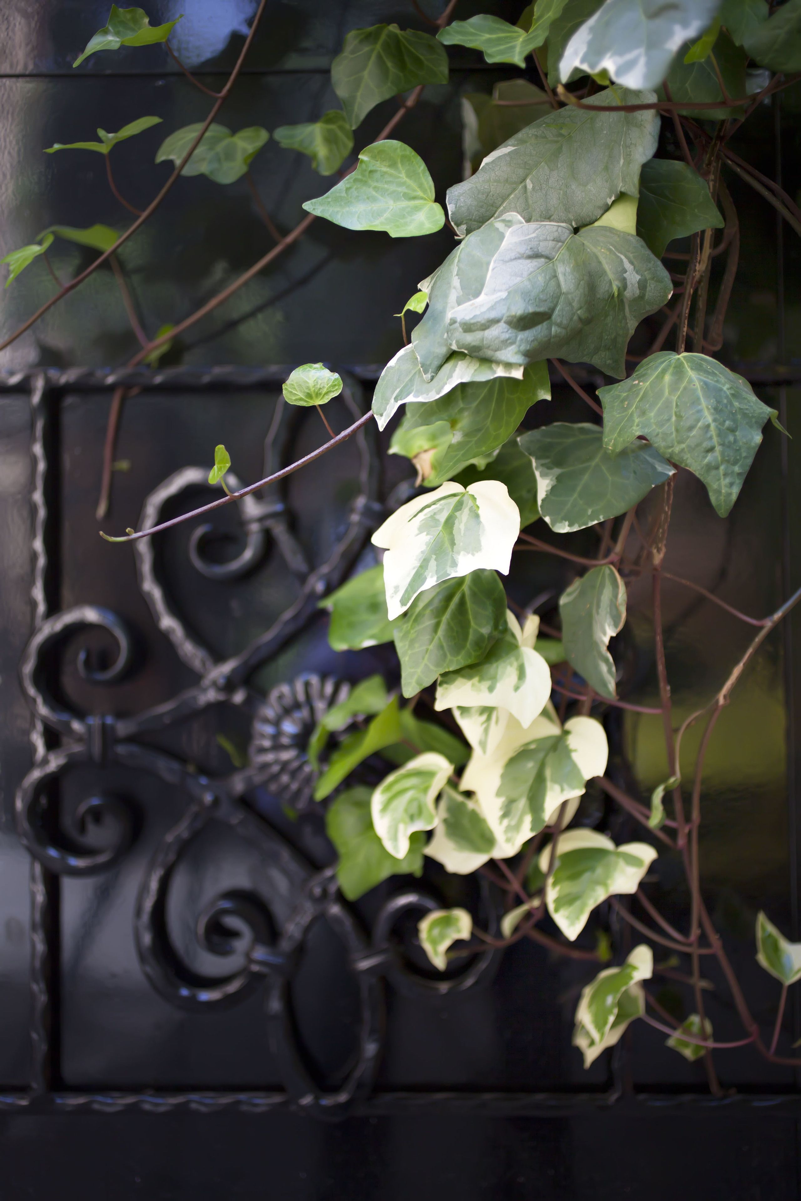 Photo - Hotel The Corner Roma