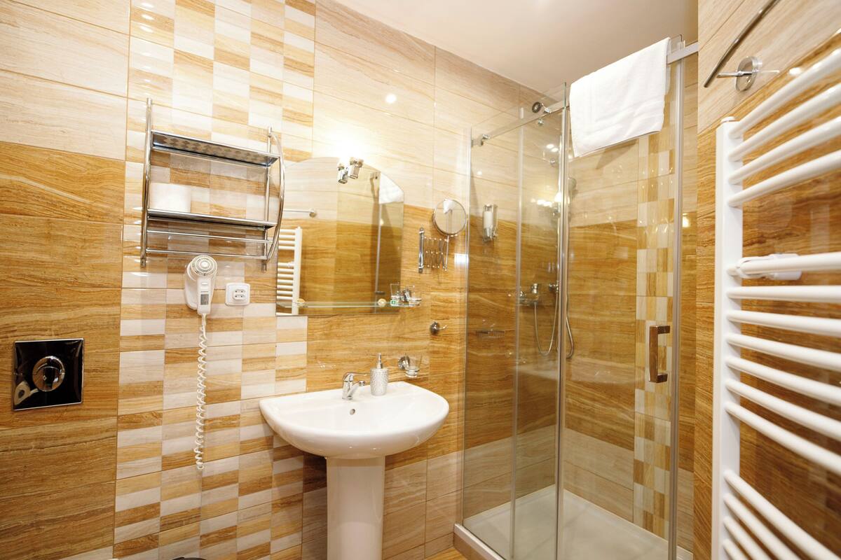 shower, free toiletries, hair dryer, towels