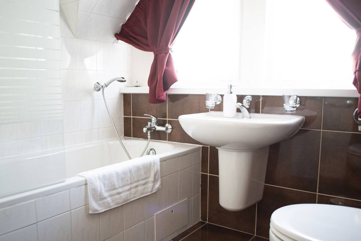 shower, free toiletries, hair dryer, towels