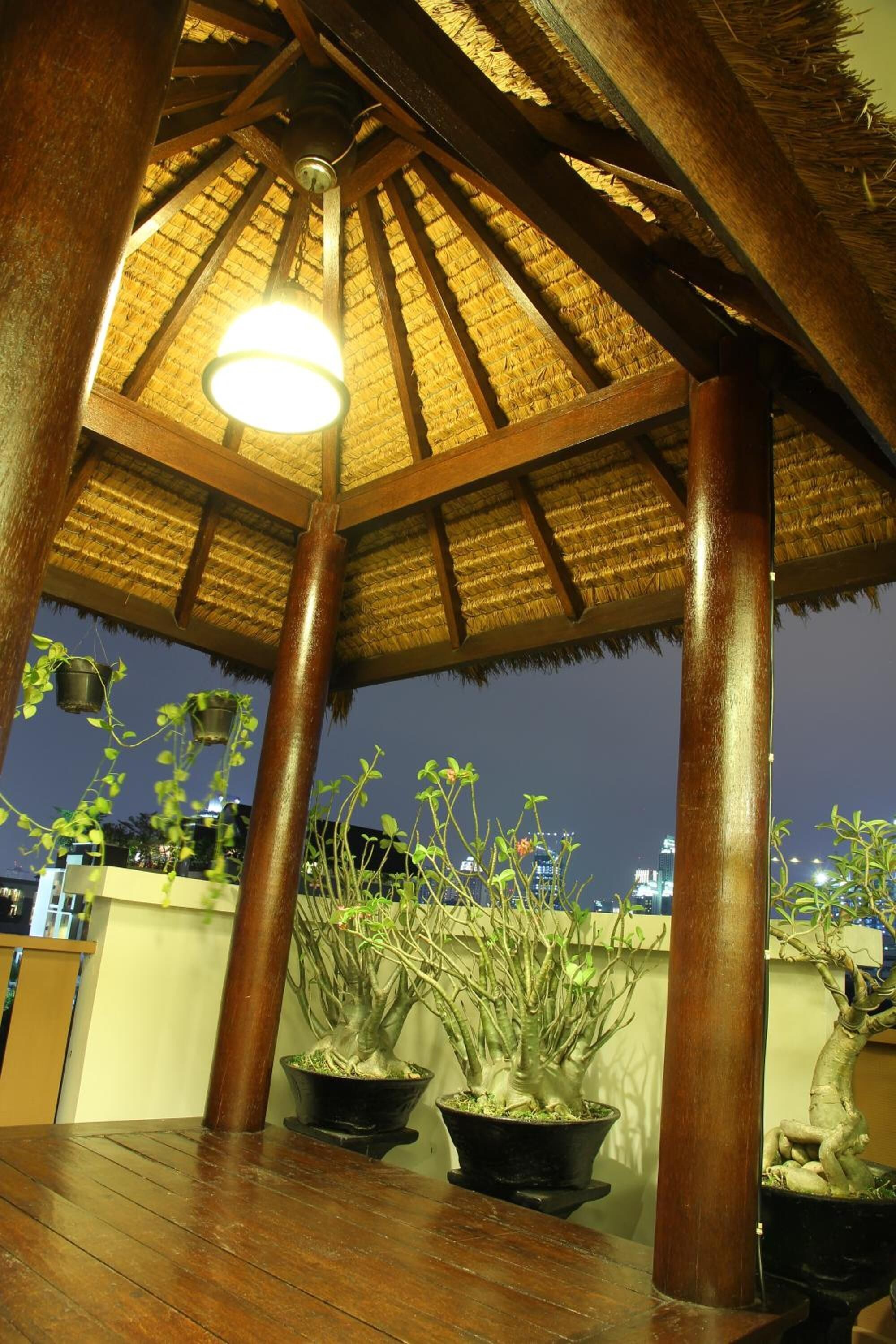 A wooden gazebo with a thatched roof, potted plants, and a view of the cityscape at night.