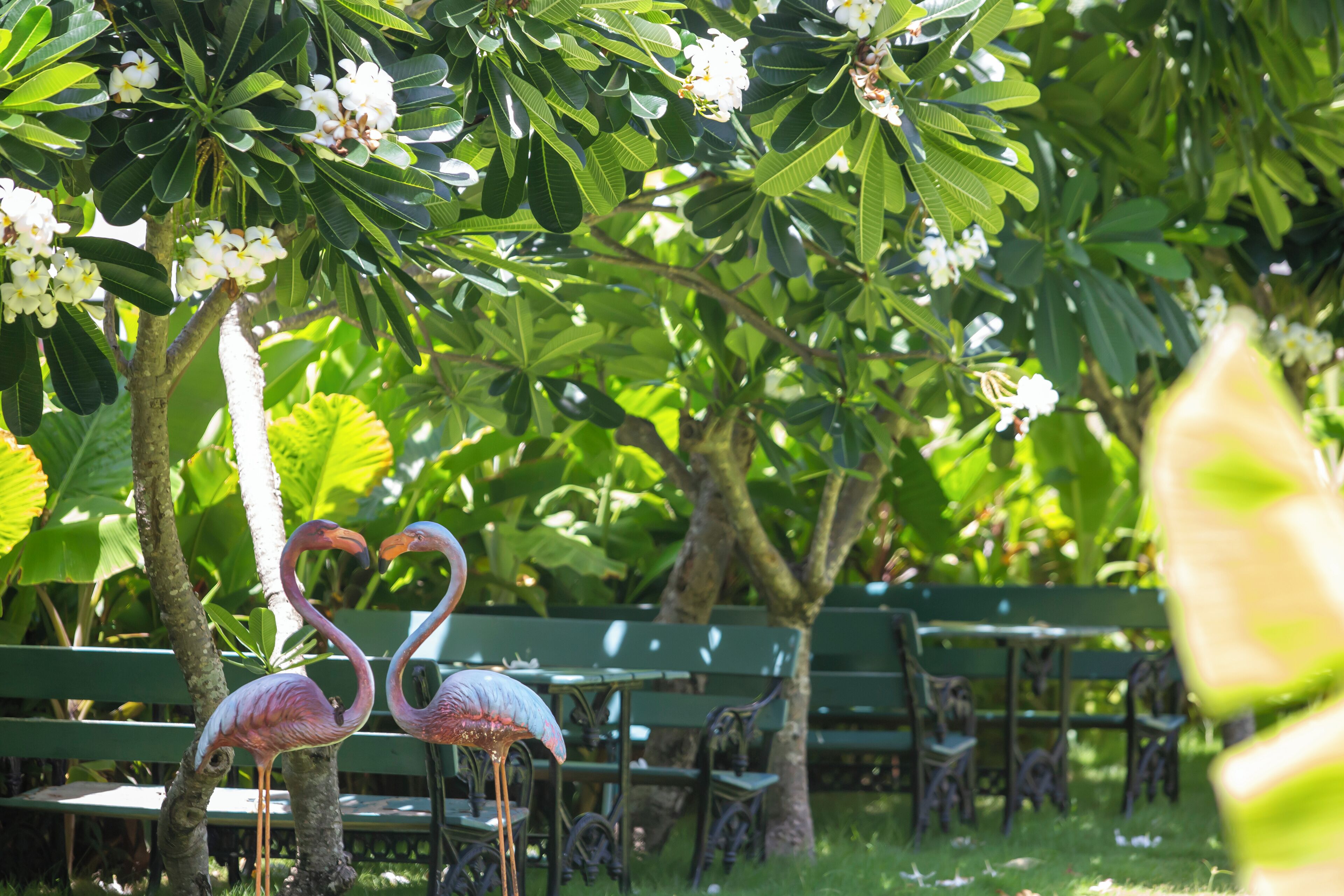 A park with benches and flamingos.