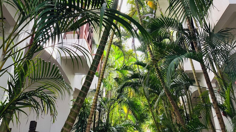 Nirvana Beach Resort