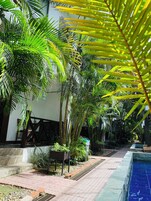 Un área de piscina con un camino empedrado, rodeada de exuberante vegetación y palmeras.