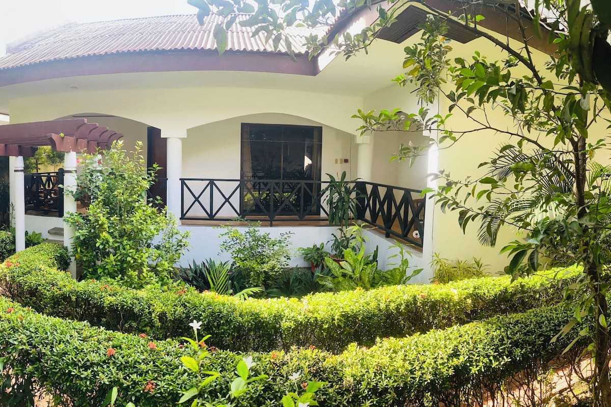 Garden view