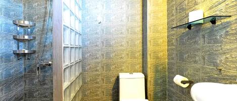 Ein modernes Badezimmer mit Duschkabine, Toilette und Waschbecken mit Ablagefläche darüber.