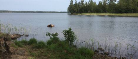 Fiske