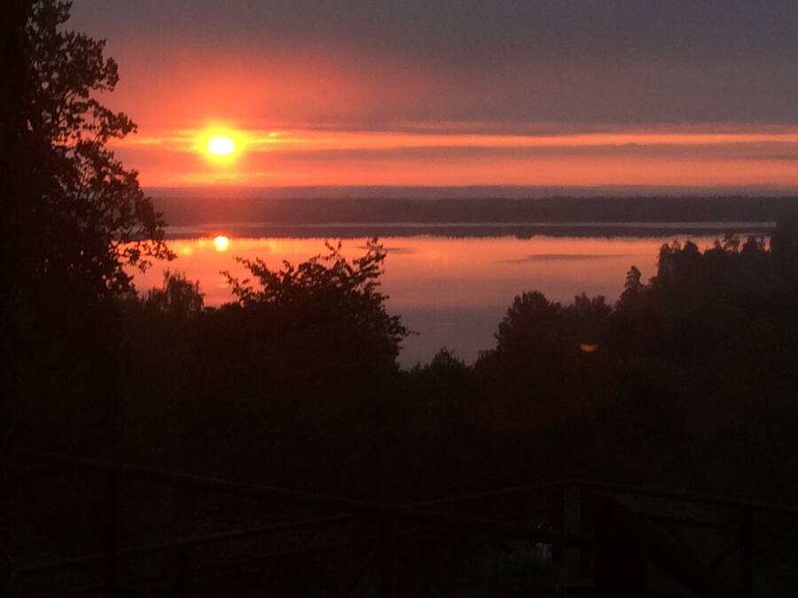 A sunset over a calm body of water with trees silhouetted against the sky.