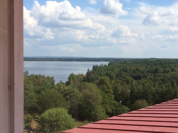 Vista de un lago rodeado de un bosque frondoso desde un edificio con techo rojo.