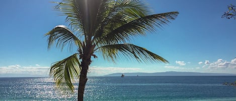 Playa privada, buceo, vóleibol de playa y bar en la playa 