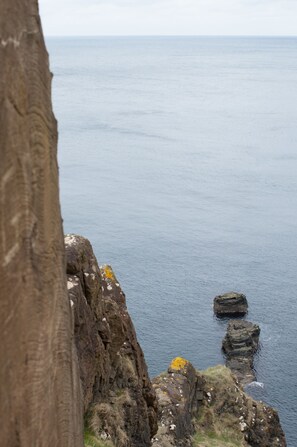 A coastal landscape with a prominent tree trunk and rocky cliffs. - Causeway Hotel (Bushmills)