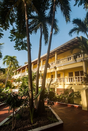 King Room with Garden View | View from room
