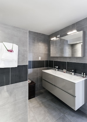 Shower, hair dryer, towels