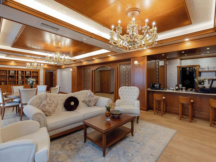 Presidential suite City view | Living area | 55-inch flat-screen TV with satellite channels, TV