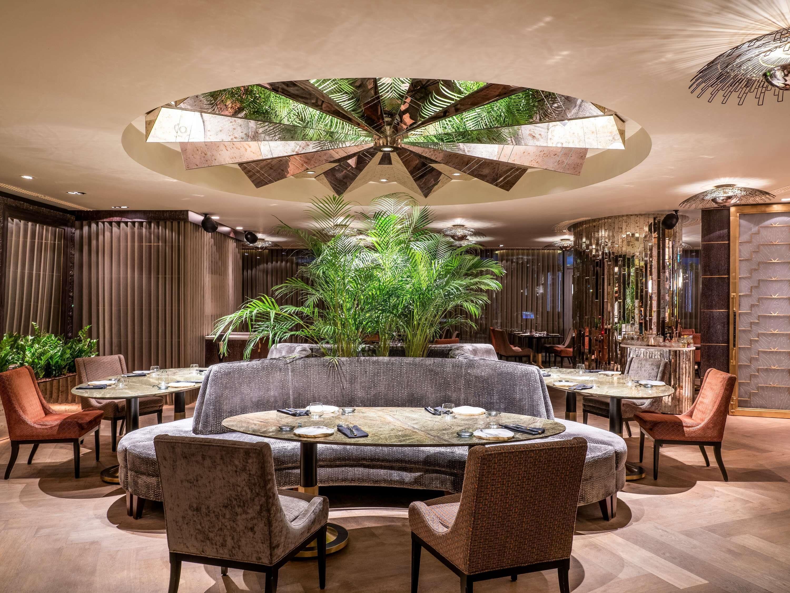 A modern dining area with a central round table, surrounded by chairs, and a large plant in the middle.