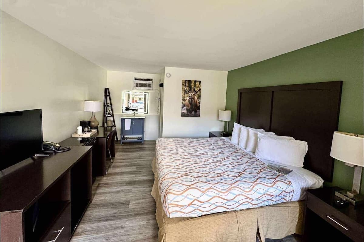 Chambre, 1 très grand lit, non-fumeurs | Bureau, rideaux occultants, Wi-Fi gratuit, draps fournis