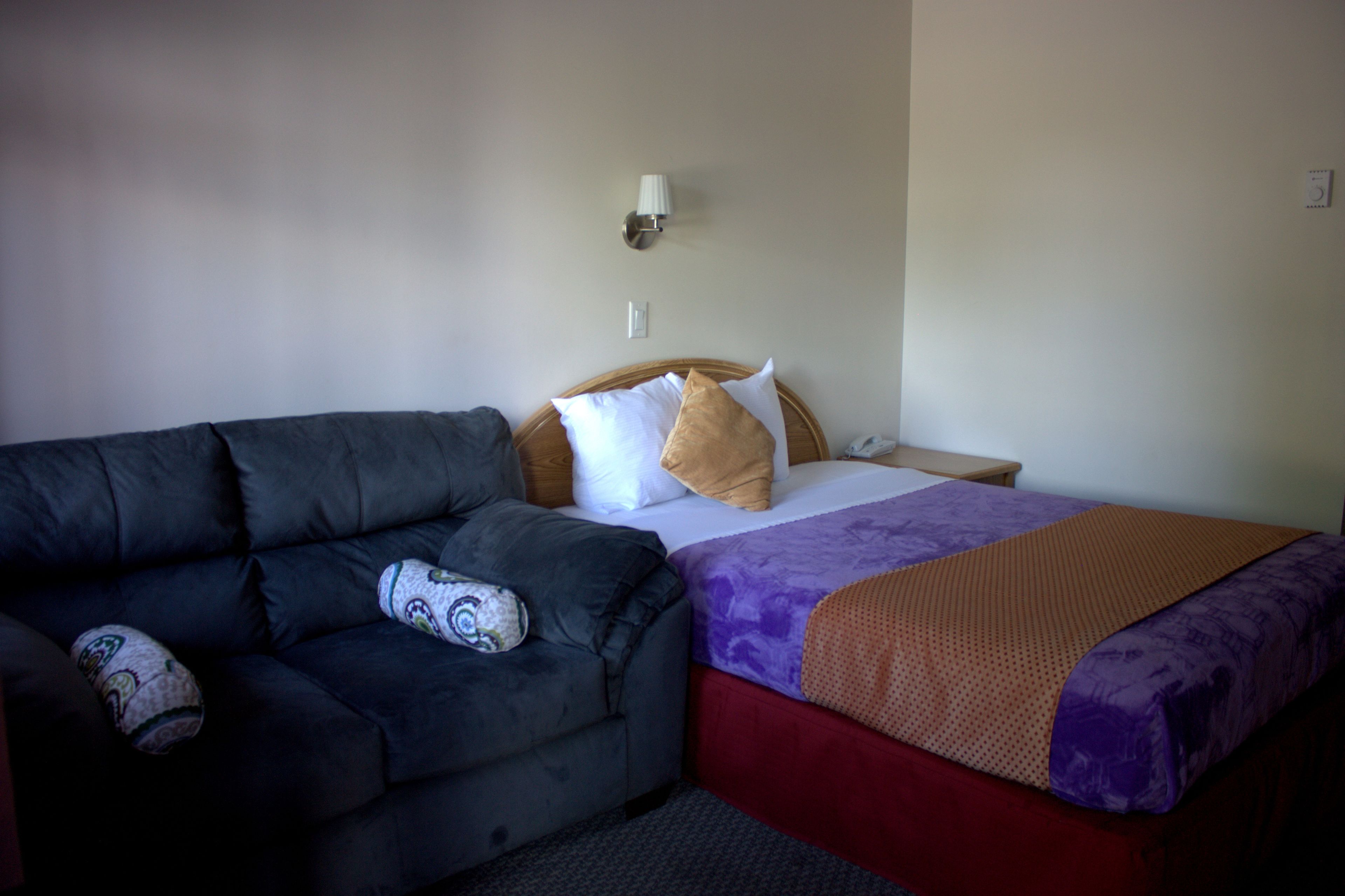 A room with a bed, a sofa, and a nightstand.