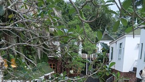 Ein Pool, umgeben von Kübelpflanzen, mit einem weißen Gebäude und einer gefliesten Terrasse.