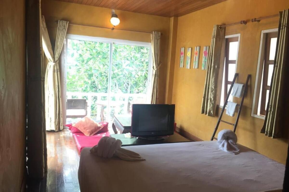 A room with a bed, a television, a window with curtains, and a ladder against the wall.