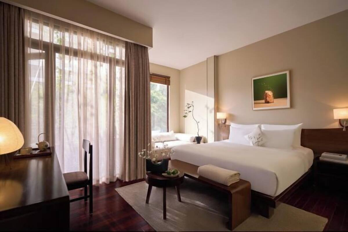 A hotel room with a bed, bedside table, lamp, chair, and a small table with a plant.