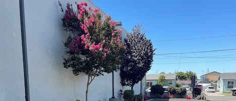 Mặt tiền nơi lưu trú