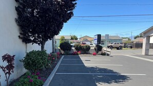 A parking lot with a row of parked cars, a motel sign, and a building in the background. - Western Motel (Salinas)