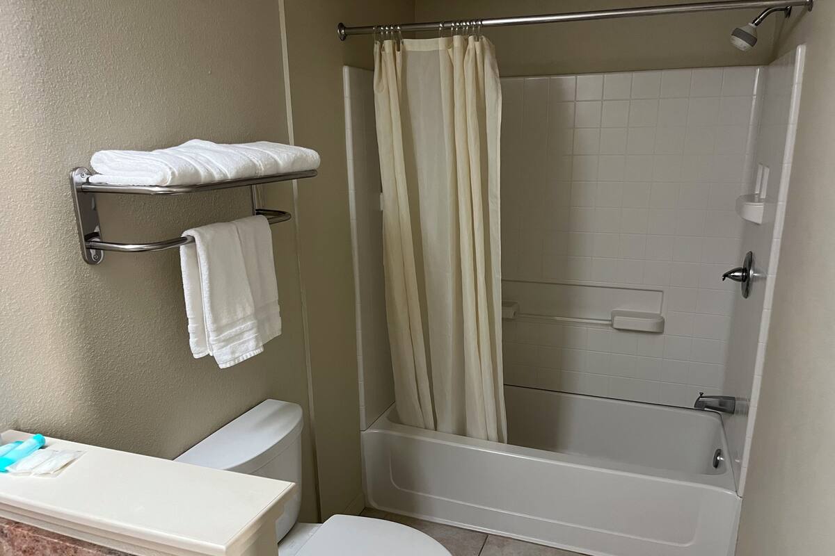 A bathroom with a toilet, a bathtub, and a shower curtain.