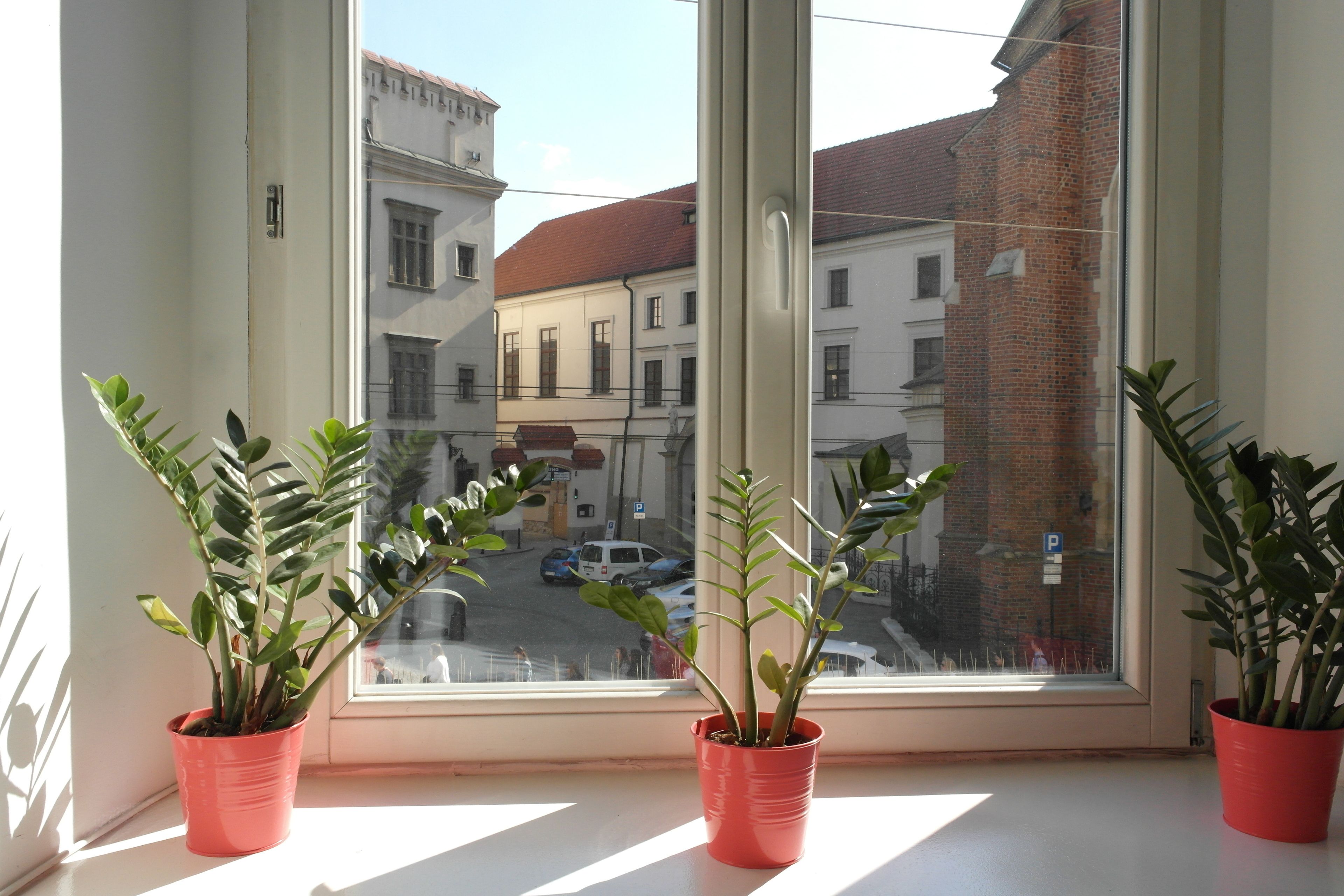 Standard Double or Twin Room, City View | Street view