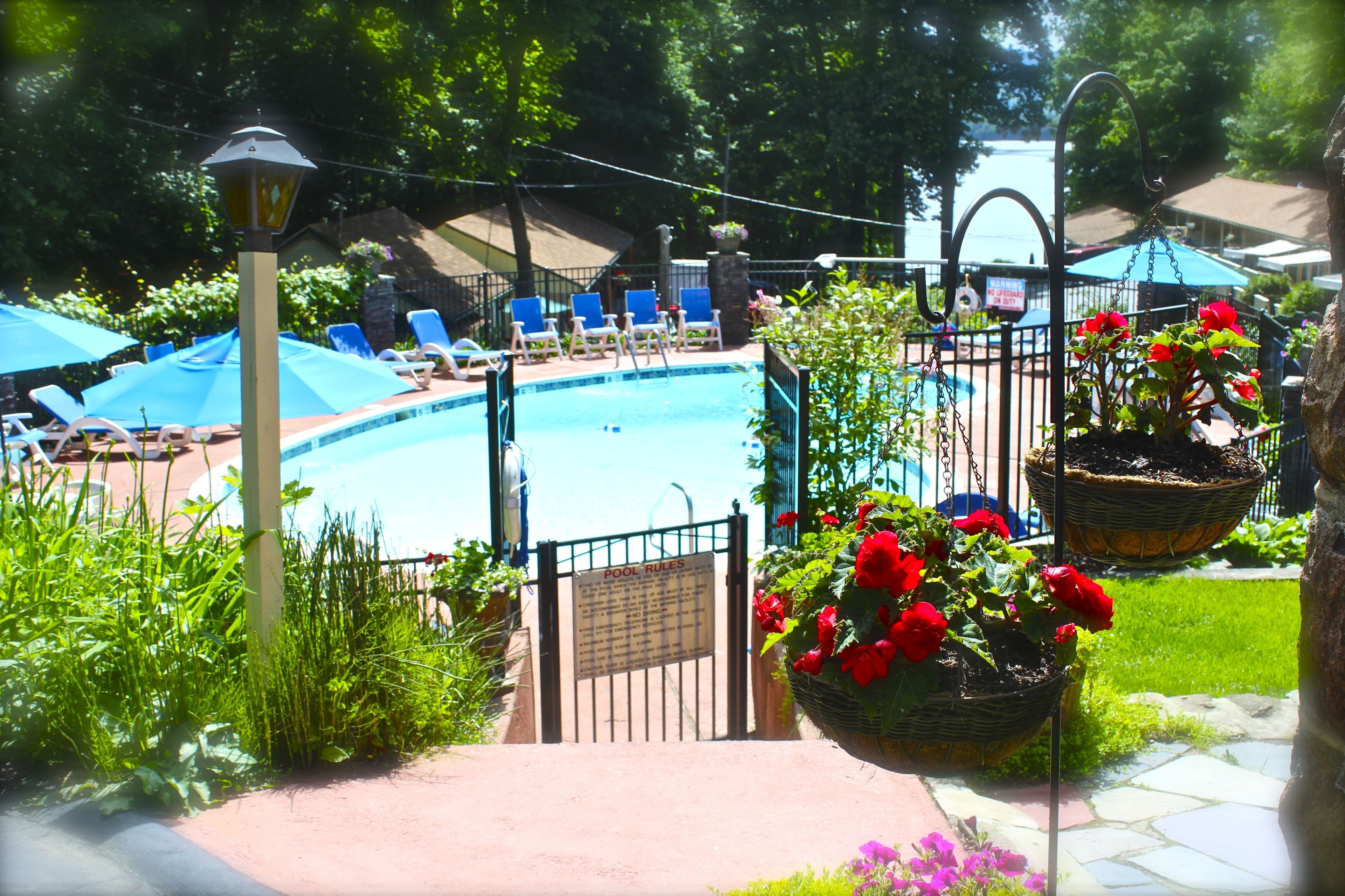 outdoor pool, pool umbrellas, pool loungers