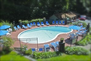 Seasonal outdoor pool, pool umbrellas, pool loungers