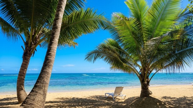 Una spiaggia con palme, un cielo blu limpido e una sedia sulla sabbia.