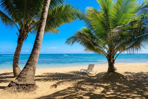 Una playa cerca