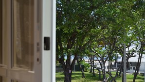 Vista attraverso una finestra: alberi e un'area recintata si vedono all'esterno.
