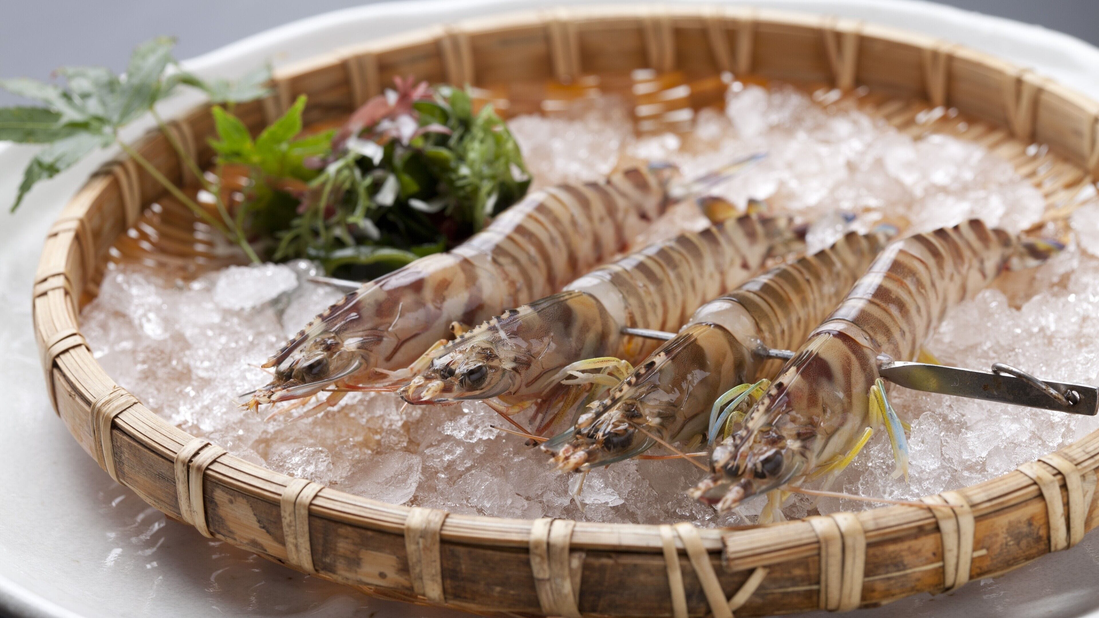 A basket of cooked shrimp on ice with a knife and some greens.