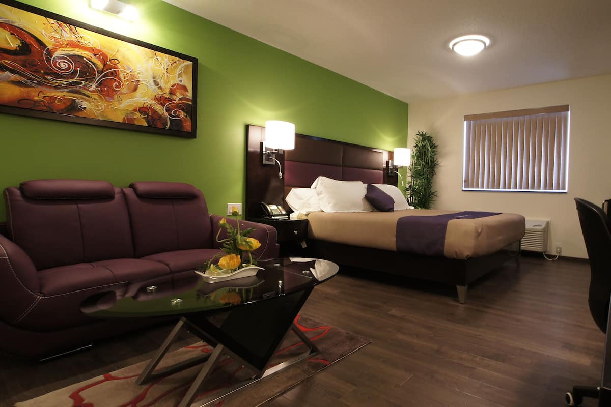 King Bed W.C. Accessible Suite