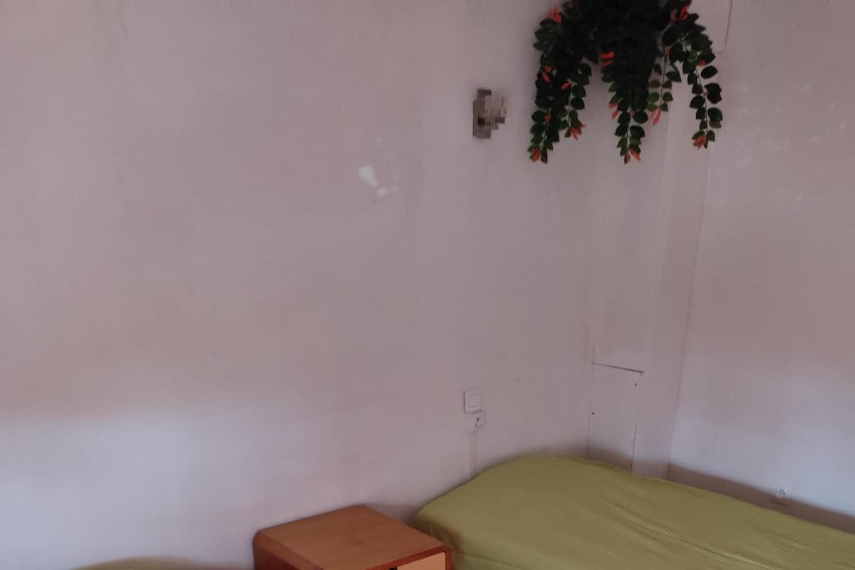 A room with two single beds, a wooden nightstand, and a wall-mounted plant.