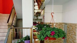 Um espaço interno amplo, com teto de madeira, escada e várias plantas em vasos.