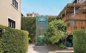 Un edificio moderno con entrada de vidrio, rodeado de vegetación exuberante y una estructura de bambú.