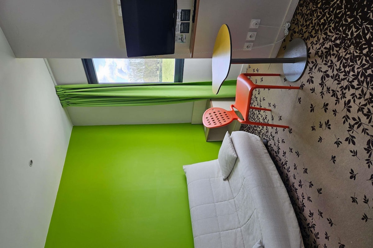 Standard Double Room, 1 Double Bed with Sofa bed