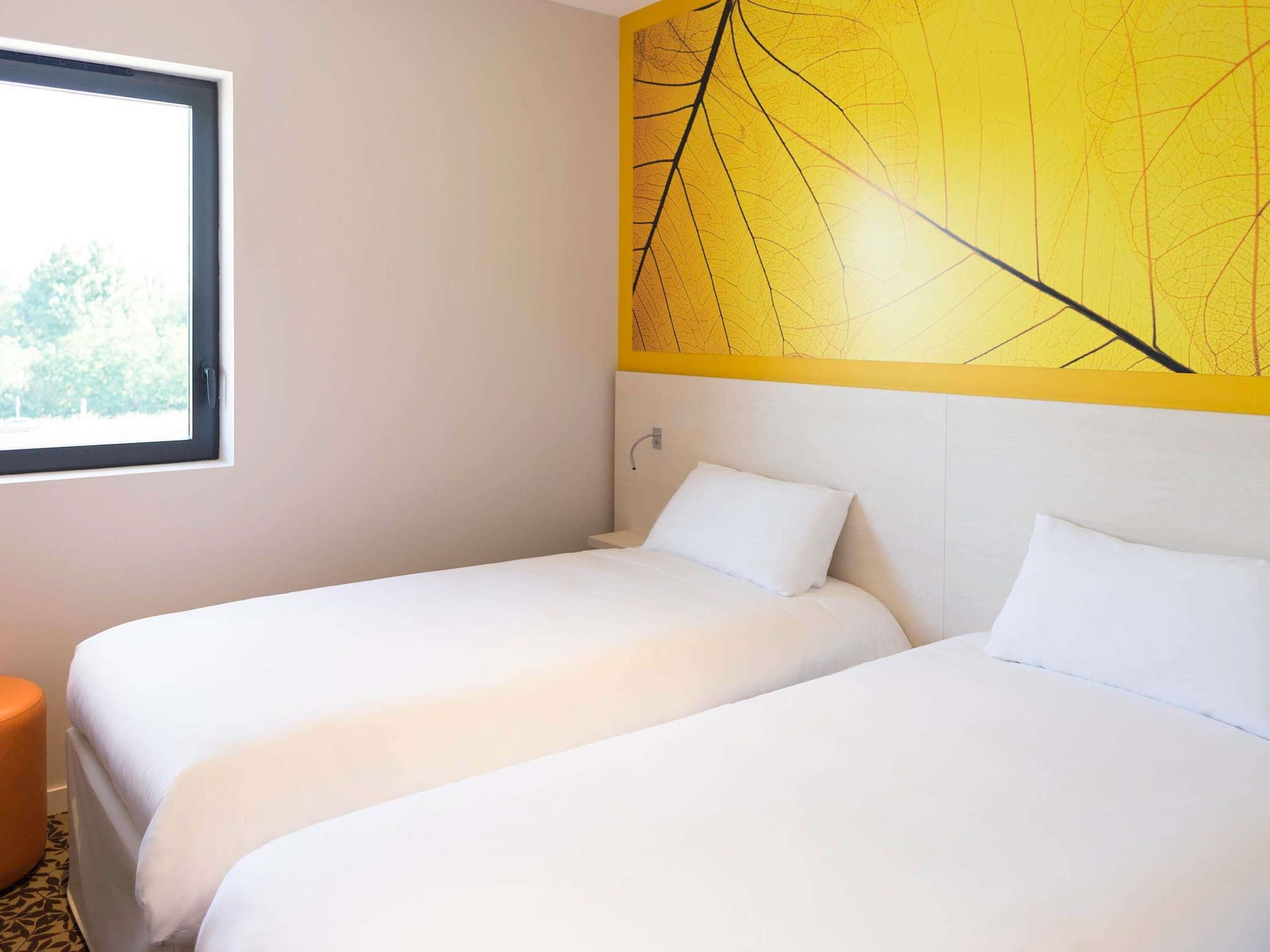 Standard Room, 2 Single Beds